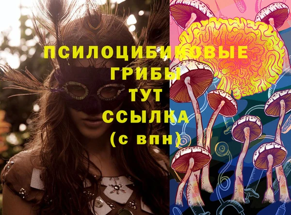 амфетамин Нея