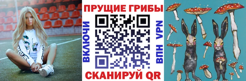 Псилоцибиновые грибы MAGIC MUSHROOMS  где найти наркотики  Норильск 